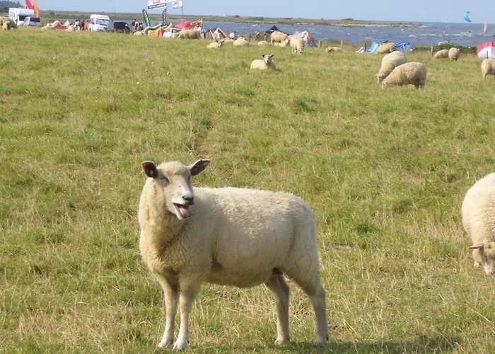 Schmuckstueck Am Binnensee Lägenhet Neue Tiefe Fehmarn